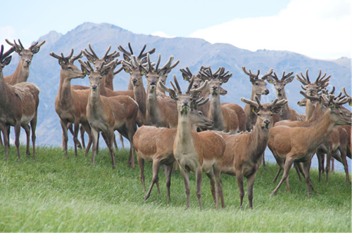 1655704248882278.png f129_01.png